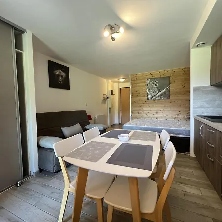 Le Studio Du Fondeur, Hohneck La Bresse